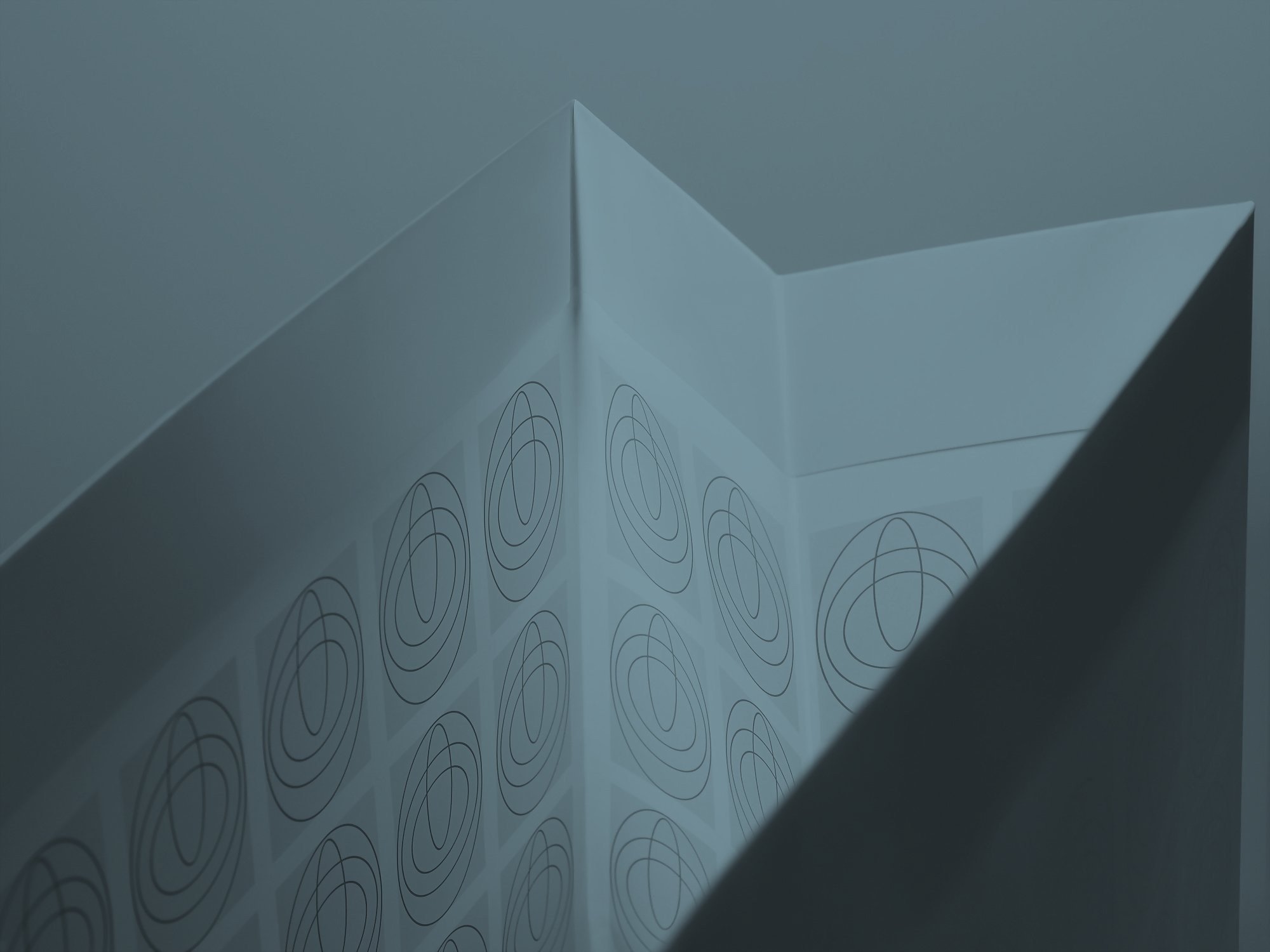 Rizzoli / Tom House - Hoffman