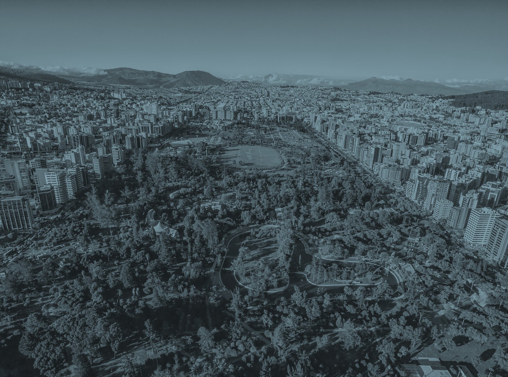 Rizzoli / Tom House - Hoffman