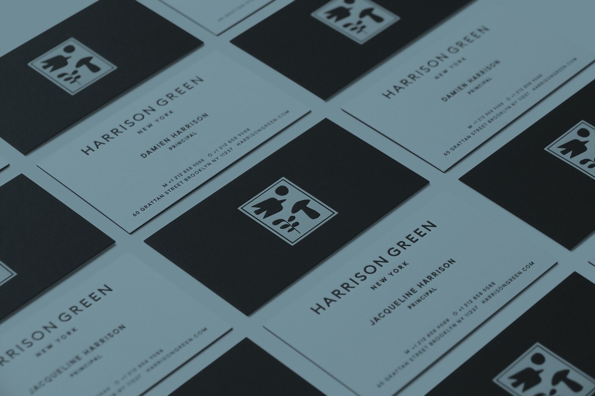 Rizzoli / Tom House - Hoffman